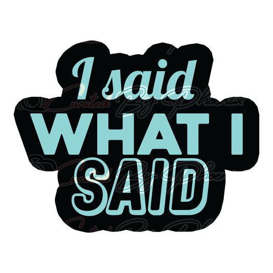  I Said What I  Said  prop, photo booth props, party props, photo booth props, custom props, custom prop signs, props, Curated by Phoenix 